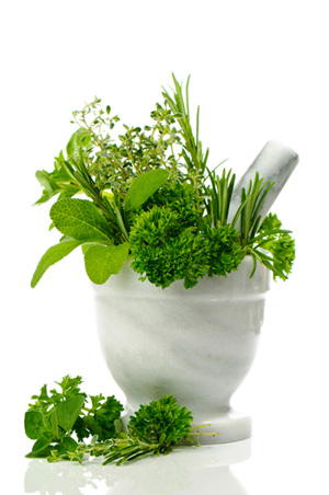 breakfast-degustation-september breakfast degustation september